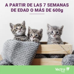 Pipetas Felis Solución Spot-On Para Gatos (42,3mg) -Catit Ventas 07 VECTRA Felis age 63db916ae980a