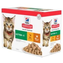 Hill's Science Plan Hill's Kitten Para Gatos -Catit Ventas 101365 pla hills science plan kitten gefluegel auswahl 5
