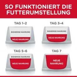 Hill's Science Plan Hill's Kitten Para Gatos -Catit Ventas 102009 hill s science plan kitten seefisch hs 01 8