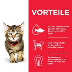 Hill's Science Plan Hill's Kitten Para Gatos -Catit Ventas 102009 hill s science plan kitten seefisch hs 04 3