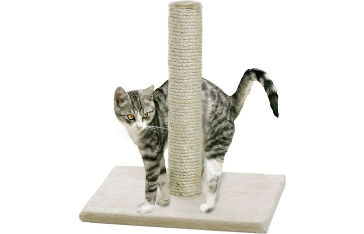 Rascador Lisa Beige. Rascador Lisa Beige. -Catit Ventas 1031266 d 01 6218b153a0ed8