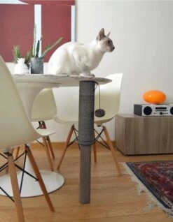 Poste Rascador Para Gatos -Catit Ventas 107846 it cat pole 372 big 3 e68bf96f 64ad 4958 87bf 6015a5381e10 1