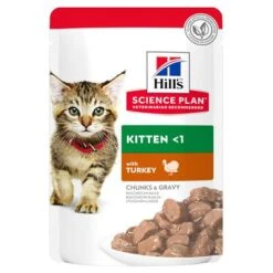 Hill's Science Plan Hill's Kitten Para Gatos -Catit Ventas 114811 pla hills sp kitten turkey 3