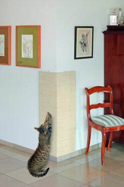 Trixie Rascador De Pared Sisal Para Gatos Beige 2 Trixie Rascador De Pared Sisal Para Gatos Beige -Catit Ventas 144435 1