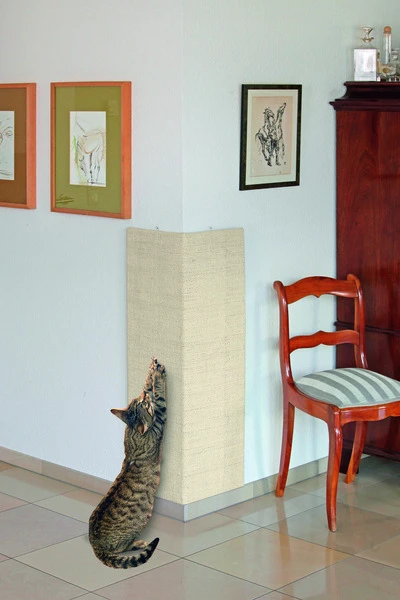 Rascador de pared sisal para gatos Beige Trixie Rascador De Pared Sisal Para Gatos Beige -Catit Ventas 144435 1