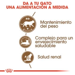 ROYAL CANIN Ageing 12+ Sterilised Pienso Para Gato De Edad Avanzada Esterilizado -Catit Ventas 15327 2 3