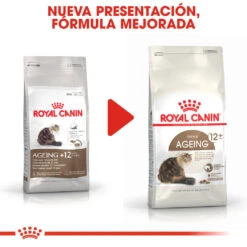ROYAL CANIN Ageing 12+ Sterilised Pienso Para Gato De Edad Avanzada Esterilizado -Catit Ventas 15327 5 6