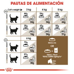 ROYAL CANIN Ageing 12+ Sterilised Pienso Para Gato De Edad Avanzada Esterilizado -Catit Ventas 15327 6 7