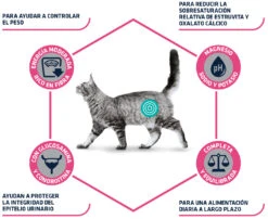 Advance Gato Esterilizado Urinary Bajo En Calorias -Catit Ventas 165819 3 3