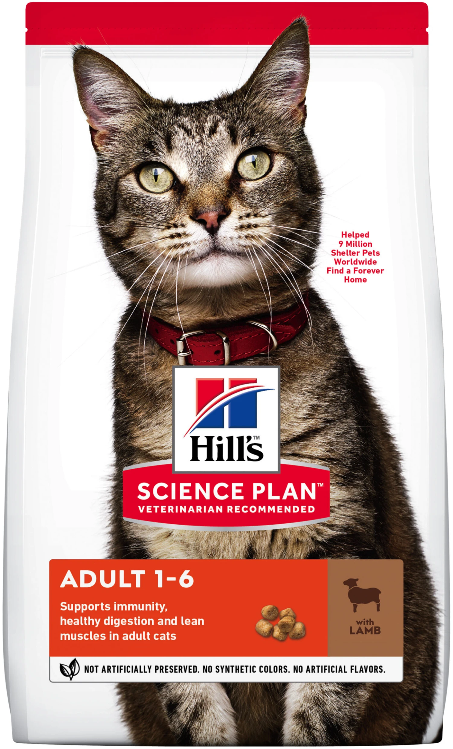 Science Plan Adult de Cordero & Arroz Hill's Science Plan Adult De Cordero & Arroz -Catit Ventas 188551 1 1 scaled
