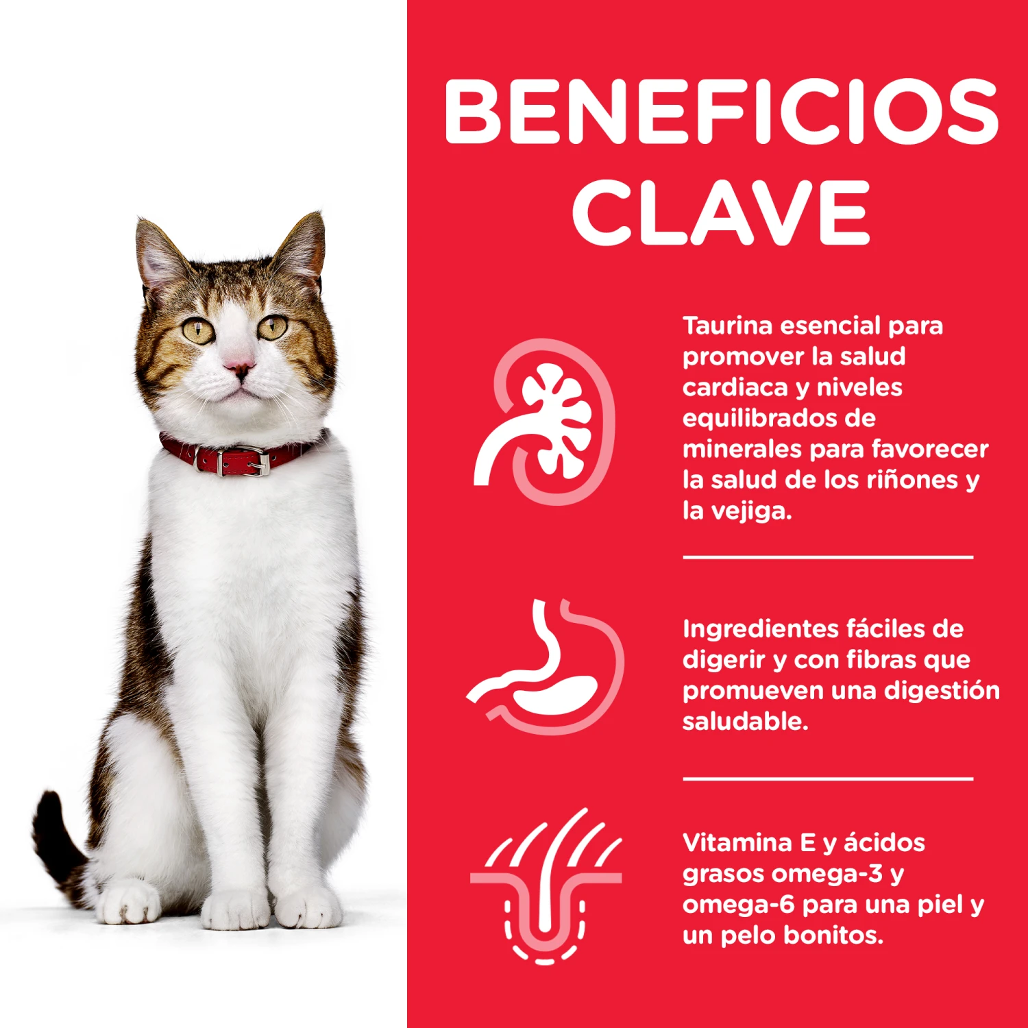 Science Plan Adult Senior +7 de Pollo Hill's Science Plan Adult Senior +7 De Pollo -Catit Ventas 188554 2 3