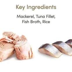 Applaws Latas En Caldo Para Gatos 12 X 156 G 19 Applaws Latas En Caldo Para Gatos 12 X 156 G -Catit Ventas 1 71551 applaws bruehe meeresfisch 156g hs 01 4