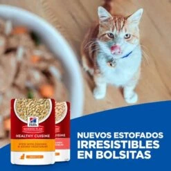 Hill's Science Plan Hill's Adult Sterilised Healthy Cuisine Con Pollo Y Salmón Para Gatos -Catit Ventas 1 cat key visual 0