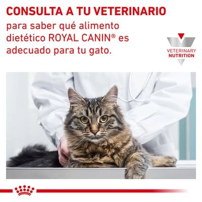 Royal Canin Veterinary Feline Sensitivity Control con pollo Royal Canin Veterinary Feline Sensitivity Control Con Pollo -Catit Ventas 1 rc vet dry catsensctrl cv eretailkit 7 es es 9