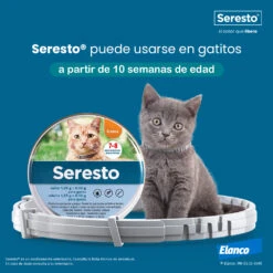 Collar Antiparasitario Para Gatos -Catit Ventas 20220914 Ecommerce Seresto gatitos 63eb96d711558