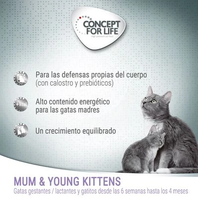 Concept for Life Mum & Young Kittens Mousse Concept For Life Mum & Young Kittens Mousse -Catit Ventas