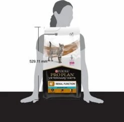 NF Renal Function ST/OX -Catit Ventas 270388317 62b0e2c61a477