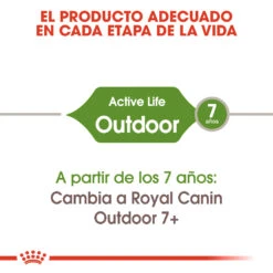 ROYAL CANIN Outdoor 30 Pienso Para Gato Adulto De Exterior -Catit Ventas 3449 3 4