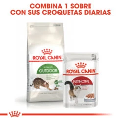 ROYAL CANIN Outdoor 30 Pienso Para Gato Adulto De Exterior -Catit Ventas 3449 6 7