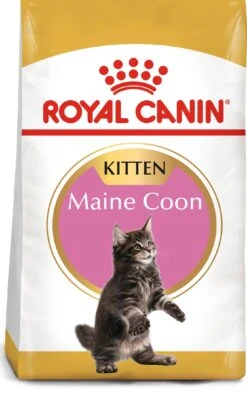 ROYAL CANIN KittenMaine Coon Pienso Para Gatito De Raza