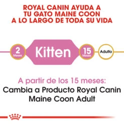 ROYAL CANIN KittenMaine Coon Pienso Para Gatito De Raza -Catit Ventas 3466 rc fbn kittenmainecoon cv1 002 spain spanish 2