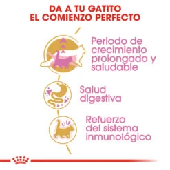 ROYAL CANIN KittenMaine Coon Pienso Para Gatito De Raza -Catit Ventas 3466 rc fbn kittenmainecoon cv2 cat 002 spain spanish 3