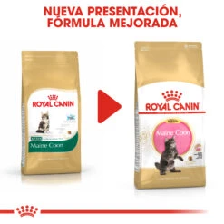 ROYAL CANIN KittenMaine Coon Pienso Para Gatito De Raza -Catit Ventas 3466 rc fbn kittenmainecoon cv8 018 spain spanish 7