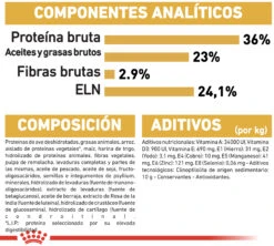 ROYAL CANIN KittenMaine Coon Pienso Para Gatito De Raza -Catit Ventas 3466 rc fbn kittenmainecoon cv9 1 002 spain spanish 8