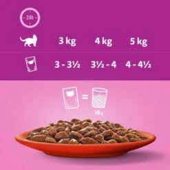 Whiskas 1+ Años 96 X 85 En Bolsitas -Catit Ventas 356096 mars sparpaket whiskas frischebeutel 48x85g hs 07 0