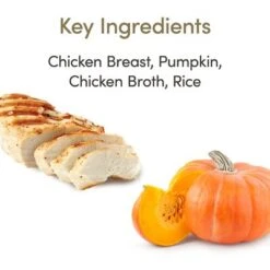 Applaws Selection 12 X 70g -Catit Ventas 361999 applaws huhn kurbis hs 02 5