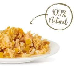 Applaws Selection 12 X 70g -Catit Ventas 361999 applaws huhn kurbis hs 03 2