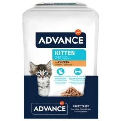 Advance Kitten Con Pollo Comida Húmeda Para Gatos -Catit Ventas 374500 advance kitten huhn 12x85g hs 02 7