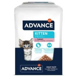 Advance Kitten Con Pavo Comida Húmeda Para Gatos -Catit Ventas 374596 affinity advance kitten truthahn hs 03 3
