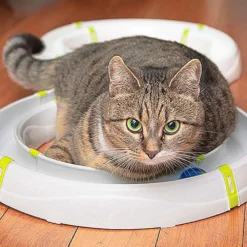 FERPLAST Circuito Typhon -Catit Ventas 4 0190014515 1800x1800 63ac4a018e455