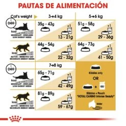 ROYAL CANIN Norweigan Forest Pienso Para Gato Adulto Bosque De Noruega -Catit Ventas 42931 rc fbn norwegianfc cv4 5