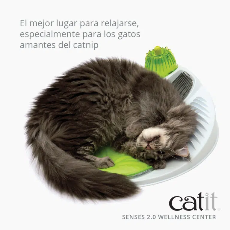 Centro de masajes Sense 2.0 Wellness Catit Centro De Masajes Sense 2.0 Wellness -Catit Ventas 43153W Wellness Center product 1 768x768 jpg 635a36a134ca1