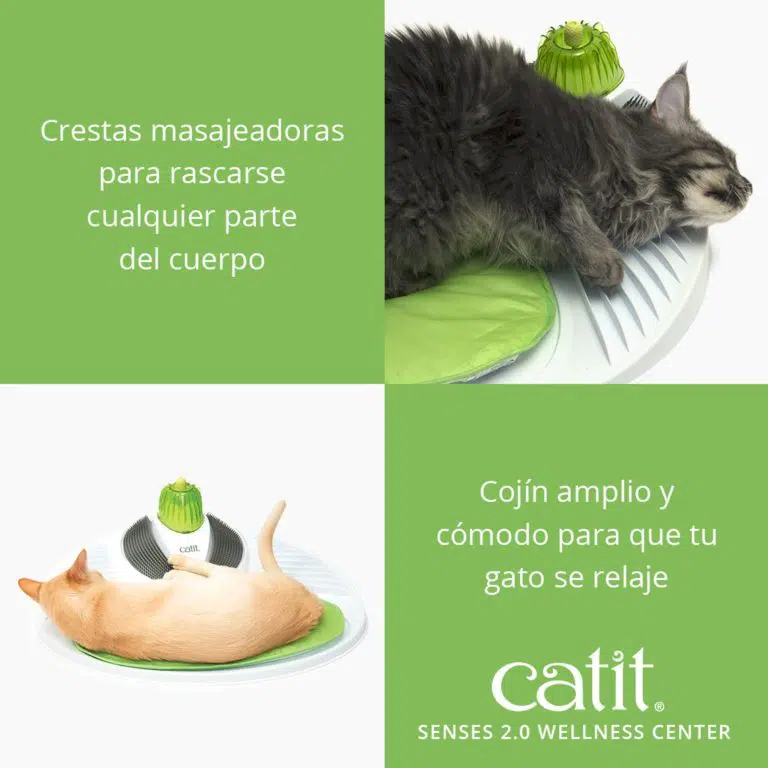 Centro de masajes Sense 2.0 Wellness Catit Centro De Masajes Sense 2.0 Wellness -Catit Ventas 43153W Wellness Center product 3 768x768 jpg 635a36a21e0c0