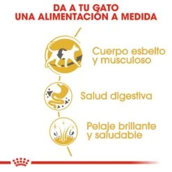 ROYAL CANIN Siamese Pienso Para Gato Adulto Siamés -Catit Ventas 4987 rc fbn siamese cv2 2