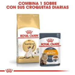 ROYAL CANIN Siamese Pienso Para Gato Adulto Siamés -Catit Ventas 4987 rc fbn siamese cv3 8