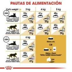 ROYAL CANIN Siamese Pienso Para Gato Adulto Siamés -Catit Ventas 4987 rc fbn siamese cv4 5