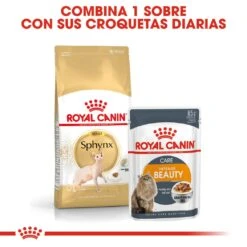 ROYAL CANIN Sphynx Pienso Para Gato Adulto Esfinge 8 ROYAL CANIN Sphynx Pienso Para Gato Adulto Esfinge -Catit Ventas 4988 rc fbn sphynx cv3 8
