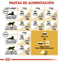 ROYAL CANIN Sphynx Pienso Para Gato Adulto Esfinge 5 ROYAL CANIN Sphynx Pienso Para Gato Adulto Esfinge -Catit Ventas 4988 rc fbn sphynx cv4 5