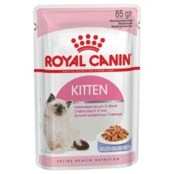Oferta: Royal Canin Pack Mixto Salsa Y Gelatina 24 X 85 G -Catit Ventas 60800 pla royalcanin kitteninstinctive gelee 8