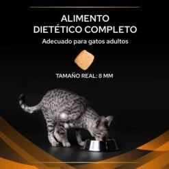 OM Obesity Management ST/OX -Catit Ventas 7613035159211 3 636a094be995c