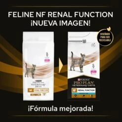 NF Renal Function ST/OX -Catit Ventas 7613287886347 2 636a09cf26095
