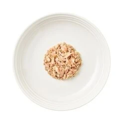 Encore En Latas 16 X 70 G Comida Húmeda Para Gatos -Catit Ventas 82373 encore cattin oceanfish hs 03 8