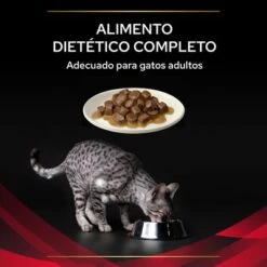 Purina Pro Plan Feline DM ST/OX Diabetes Management Veterinary Diets Con Pollo -Catit Ventas 8445290046048 4 textura 7