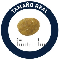 Advance Gastroenteric Sensitive -Catit Ventas 85801 5 5