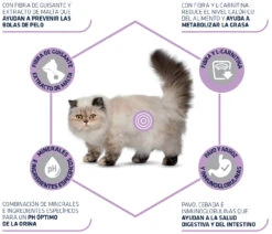 Advance Cat Sterilized Hairball -Catit Ventas 85802 3 2