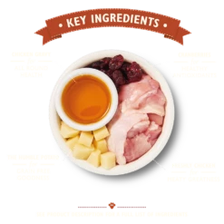 Lily's Kitchen Pienso Cazuela Pollo 2 Lily's Kitchen Pienso Cazuela Pollo -Catit Ventas BCDDC 2 62d18623c08f5